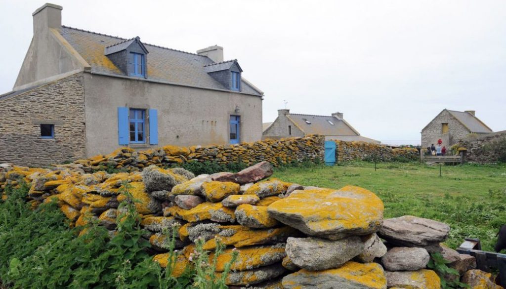 gite-sur-l-ile-de-quemenes-dans-la-commune-du-conquet-le-31-mai-2012